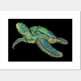 Sea Turtle Posters and Art